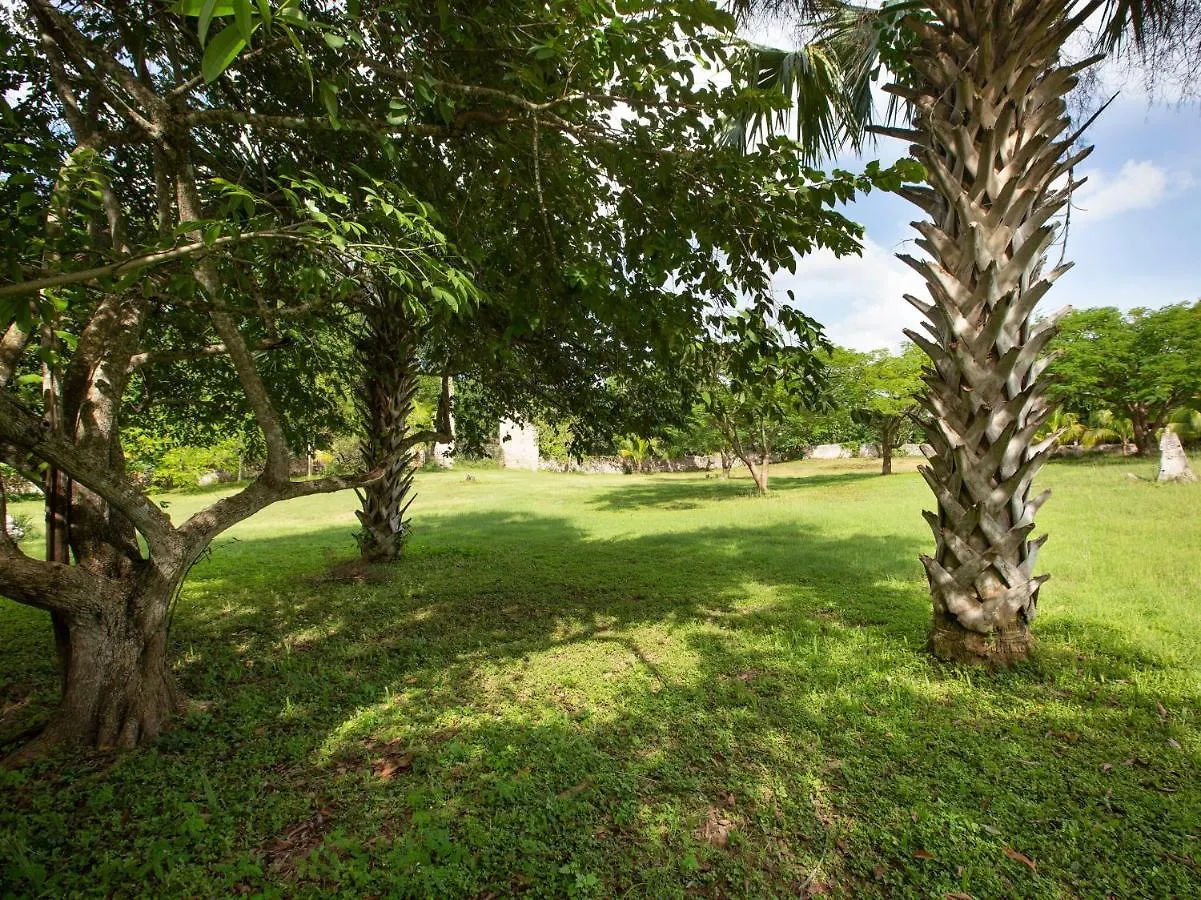 ** ホテル Capital O Hacienda Yunku Hotel, Yucatan メリダ メキシコ